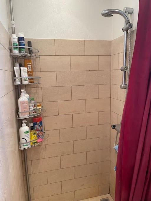 Appartement Familievenlig Taet Pa Amager Kopenhagen